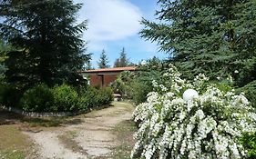 Chez-Antoinette